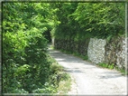foto Lago del Corlo